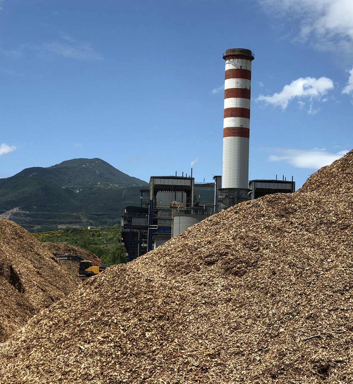 Foto biomassa e centrale del Mercure